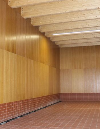 Obra de Rastrelo Valladolid | Panelado de madera y techo en bodega Pago de Carrovejas